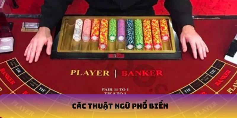 Các thuật ngữ phổ biến